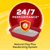 image:imagePurina Tidy Cats LightWeight4In1 Strength MultiCat Odor control Clumping 999 Percent Dust Free Cat Litter  17 lb Box40 Pound Pack of 1